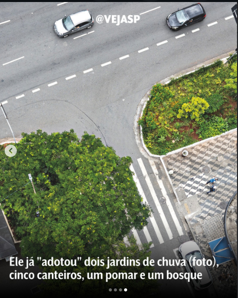 Jardins de chuva cuidados pelo Projeto Pazipê